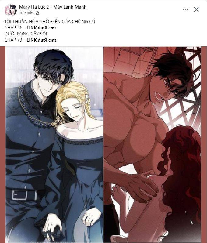 tôi tưởng đó chỉ là tiểu thuyết trọng sinh bình thường chapter 33.1 4