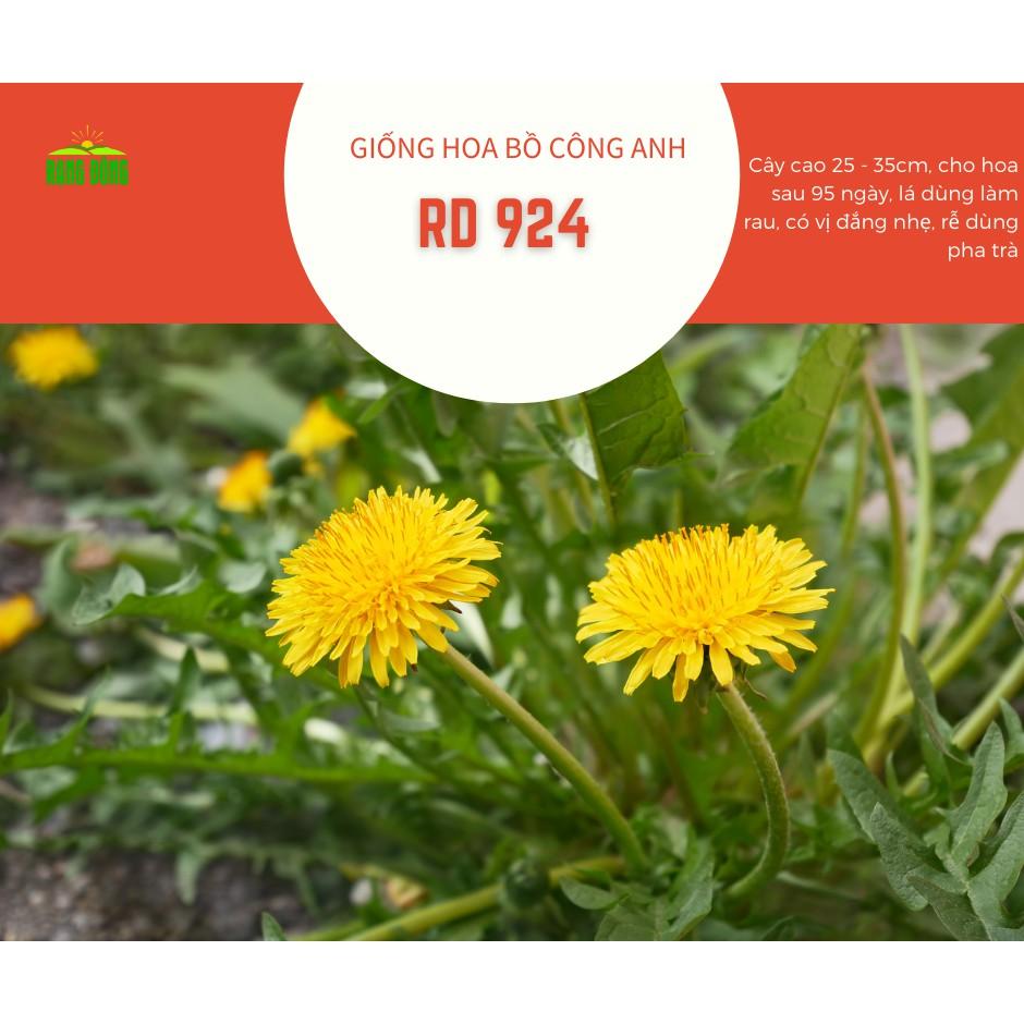 Hạt giống cây bồ công anh Rado, đóng gói 1gr