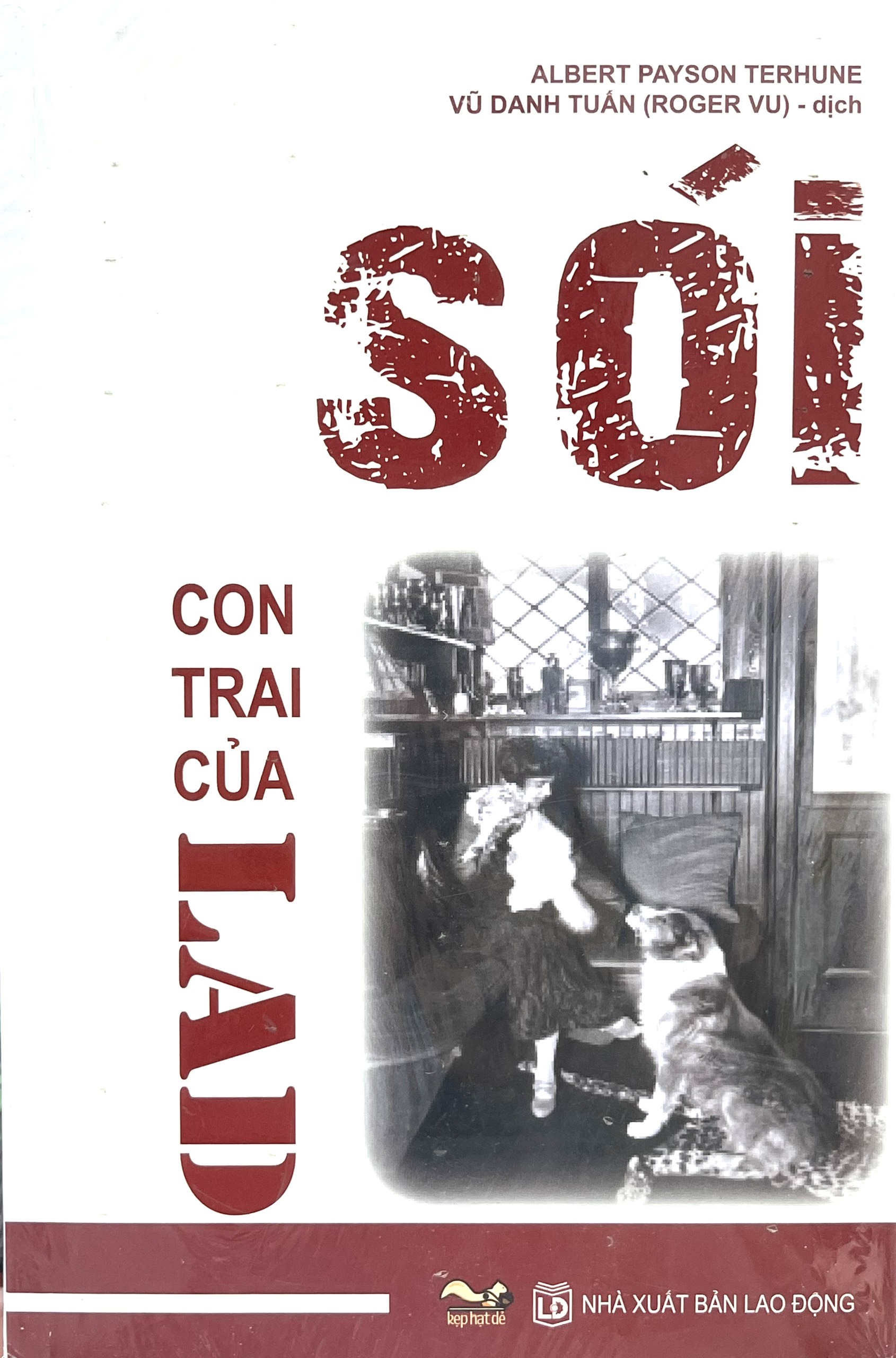 Sói, Con trai của Lad