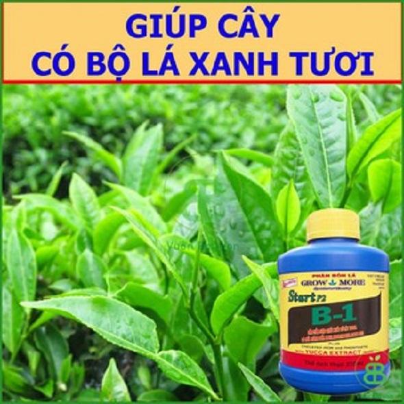 Phân bón vitamin B1 Start của Growmore chai 235ml - tăng đề kháng, phát triển rễ