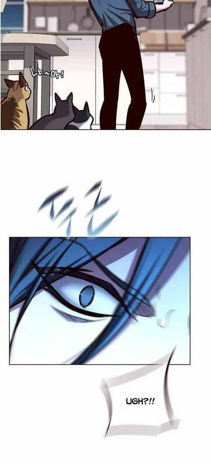 biến thân thành mèo chapter 138 69