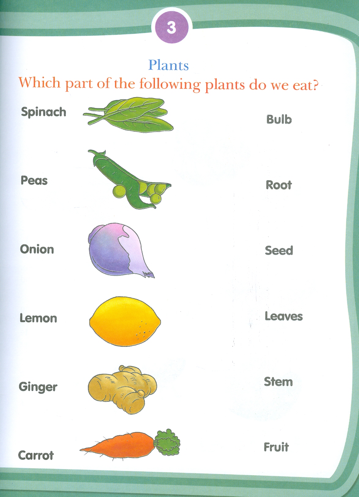 Kid's 4th Activity Book Environment - Age 6+ (Know Your Surroundings) (Các Hoạt Động Môi Trường Cho Trẻ 6+: Thiên Nhiên Diệu Kỳ)