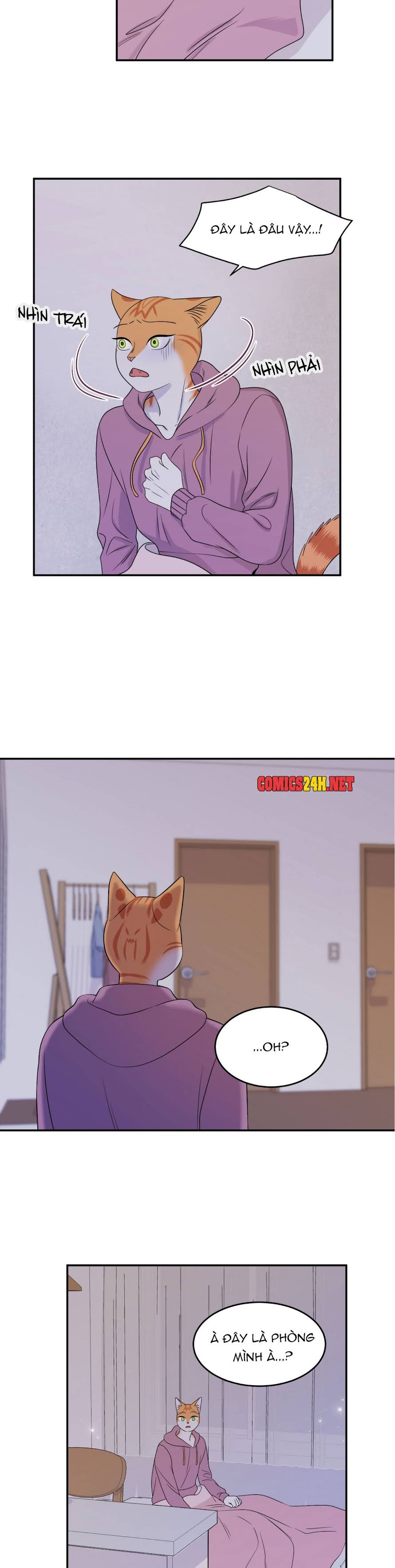 dự án xanh chapter 14 16