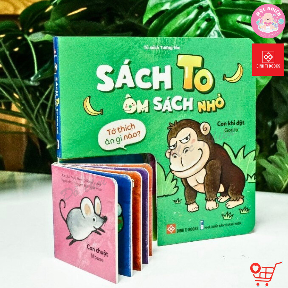 Sách - Bộ sách to ôm sách nhỏ dành cho trẻ 3-6 tuổi - Đinh Tị Books