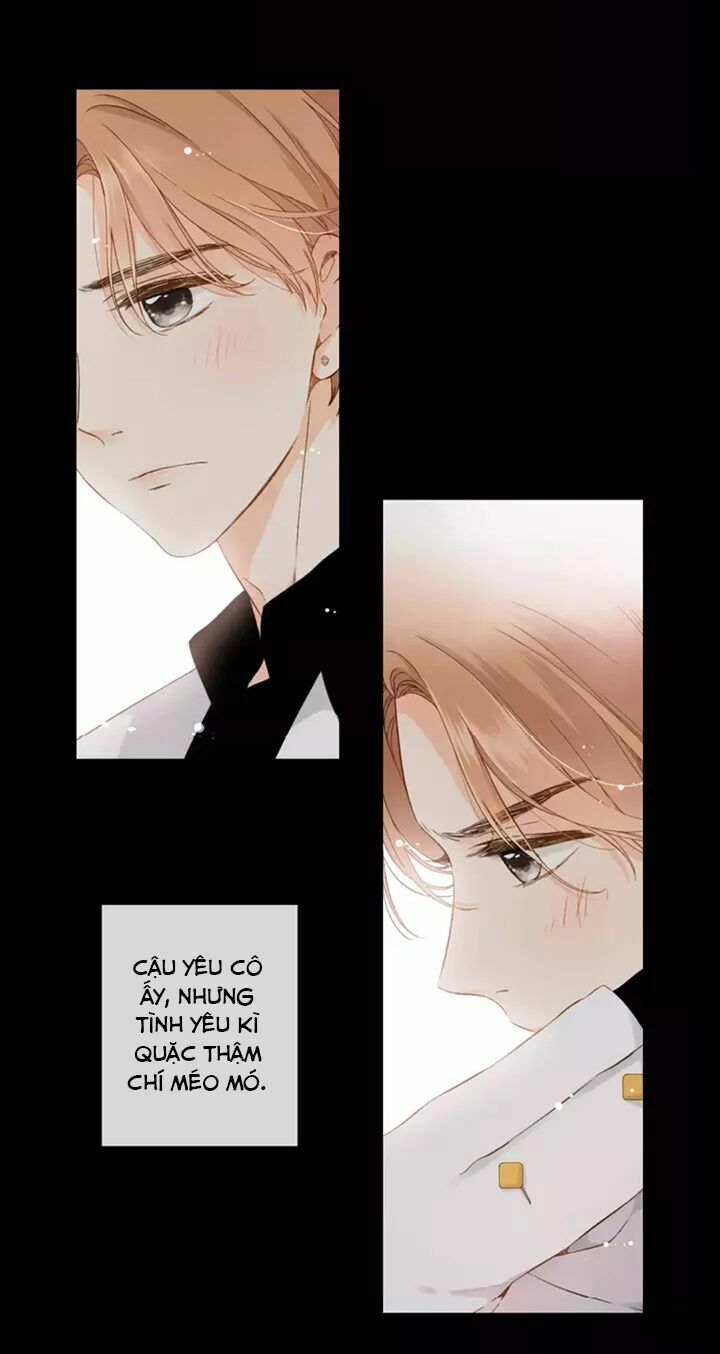 Tình yêu là màu hoa anh thảo chapter 31.2 11