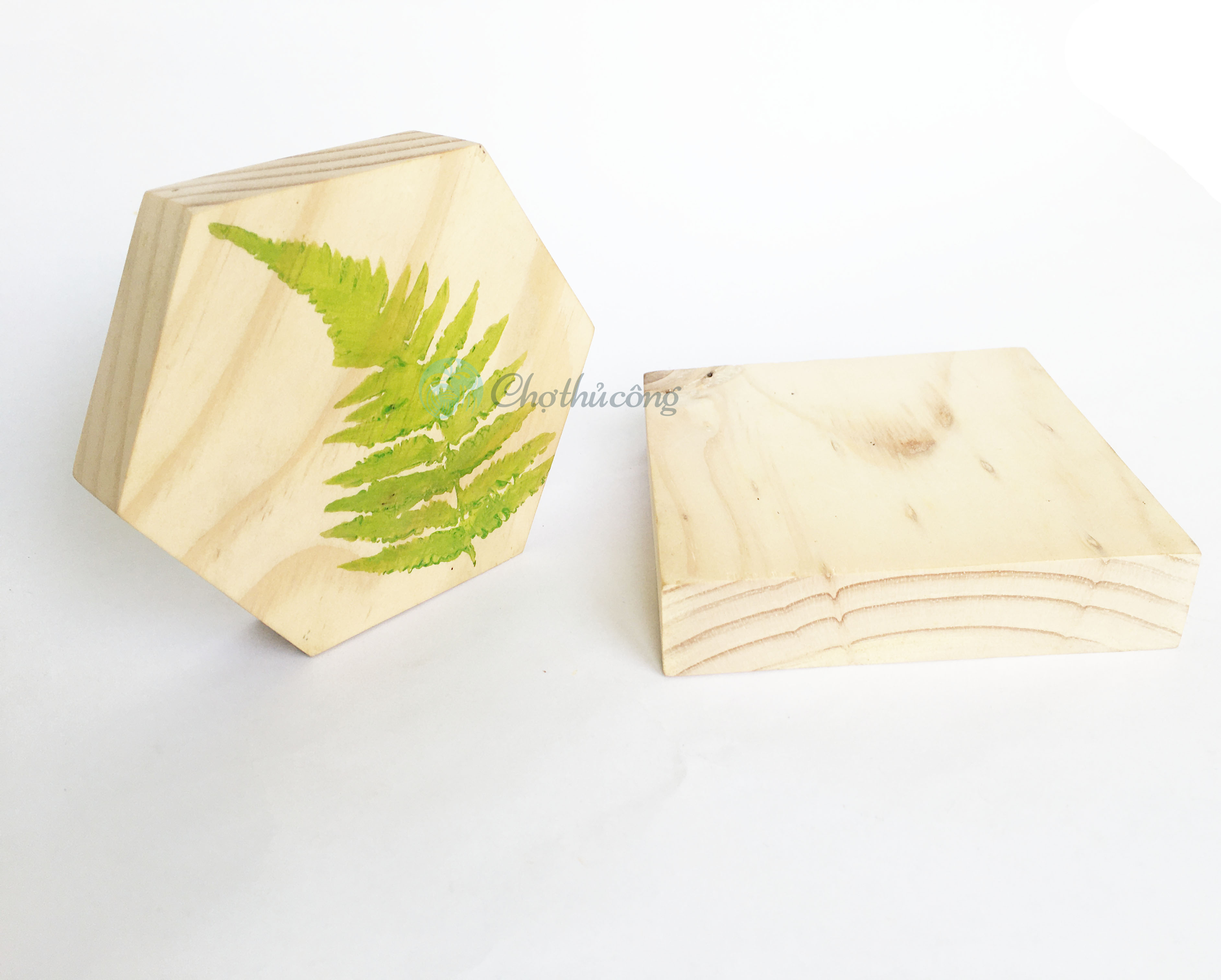 Miếng gỗ thông trơn hình vuông, hình lục giác, hình tròn dày 2cm dùng vẽ tranh decor, bảng treo cửa, bảng gỗ trang trí