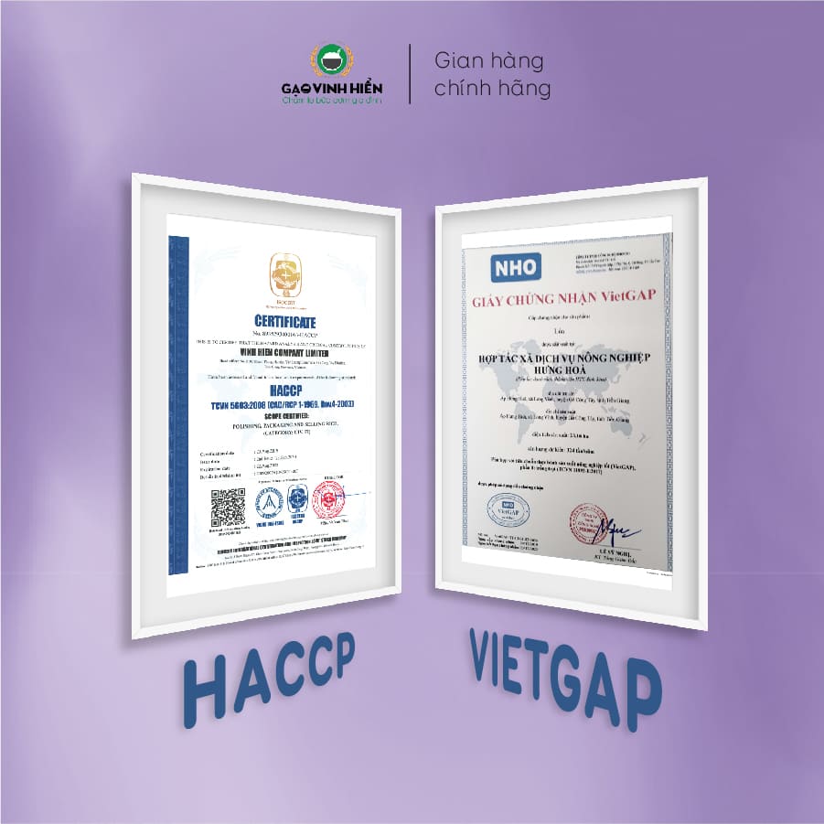 Gạo Đặc Sản ST25 Trạng Nguyên – Dẻo nhiều, dai cơm, thơm dứa - Chuẩn HACCP, VietGAP