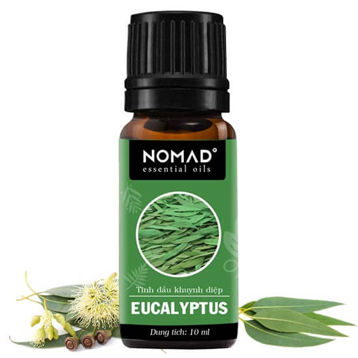 Tinh Dầu Thiên Nhiên Khuynh Diệp Nomad Essential Oils Eucalyptus