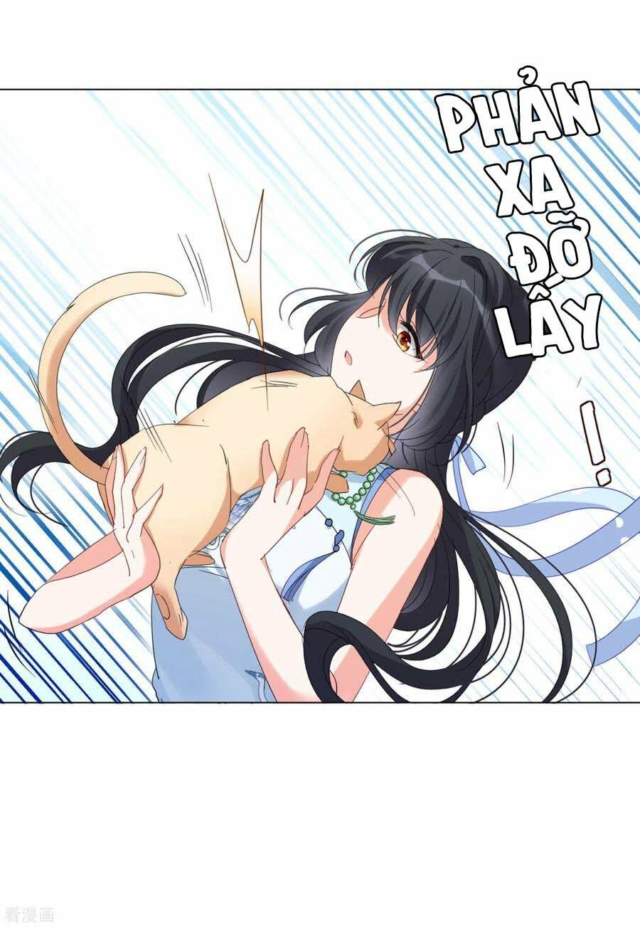 cô ấy đến rồi, xin nằm xuống! chapter 69 22