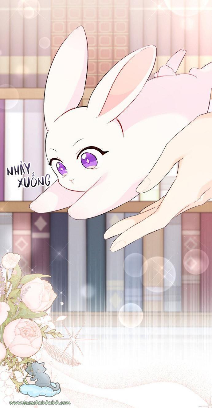 quan hệ cộng sinh giữa báo đen và thỏ trắng chapter 47 46