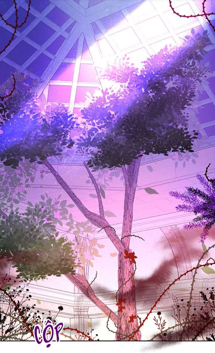 cách để cứu rỗi anh trai của nữ chính chapter 5 2