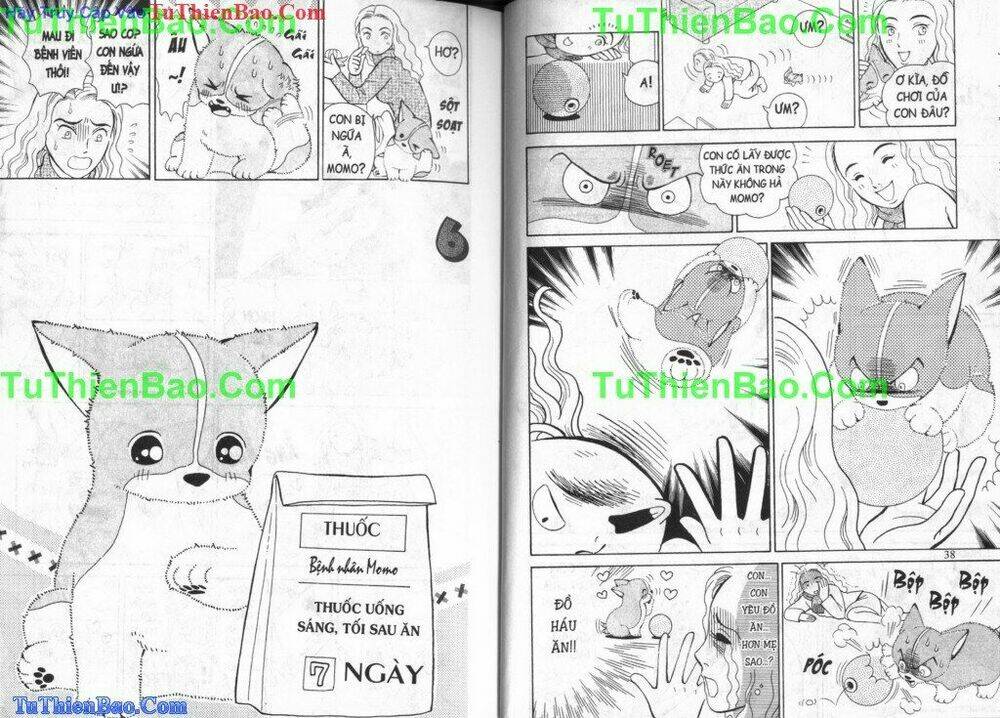 chó con mo mo chapter 3 21