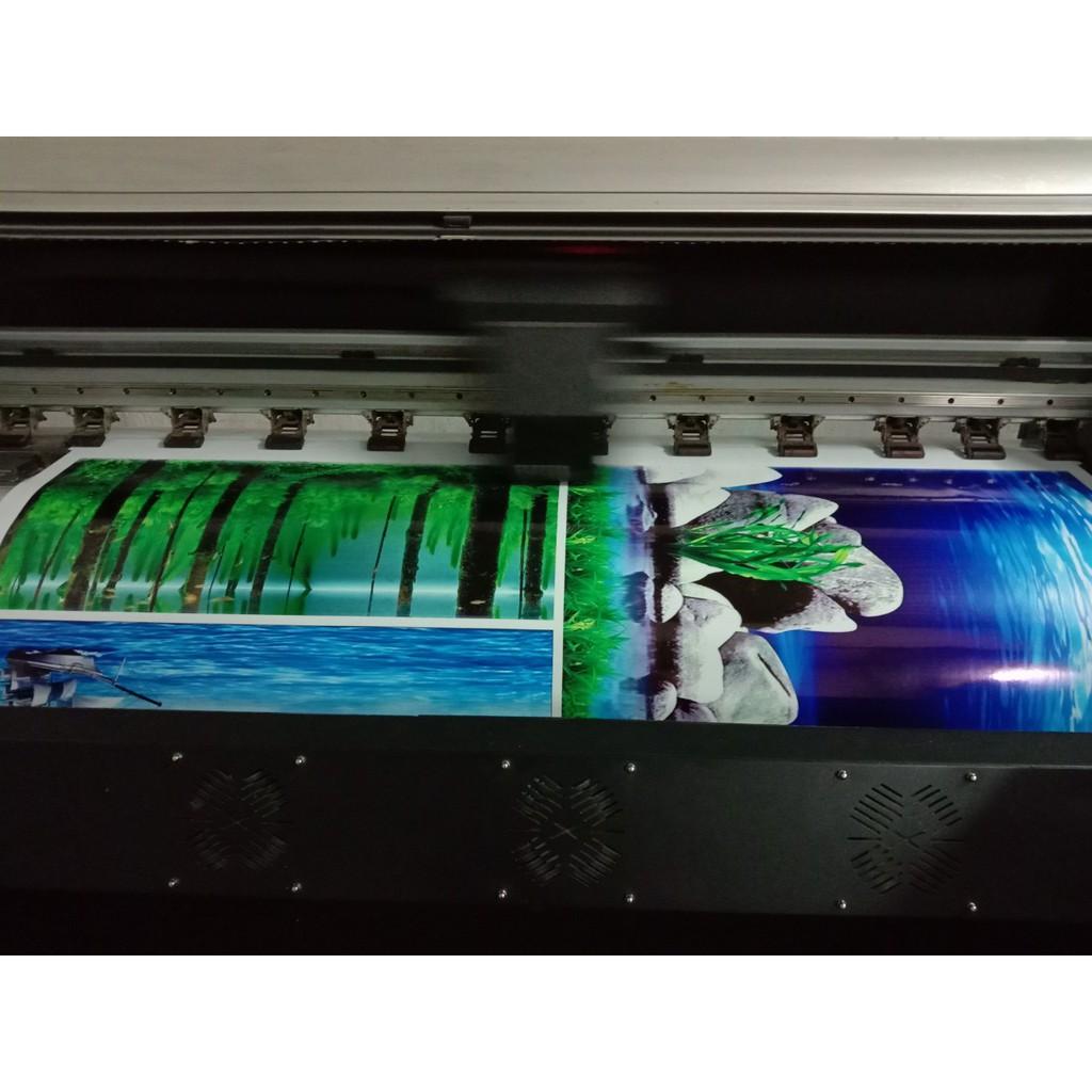 Decal dán Hồ Cá 3D siêu đẹp 007