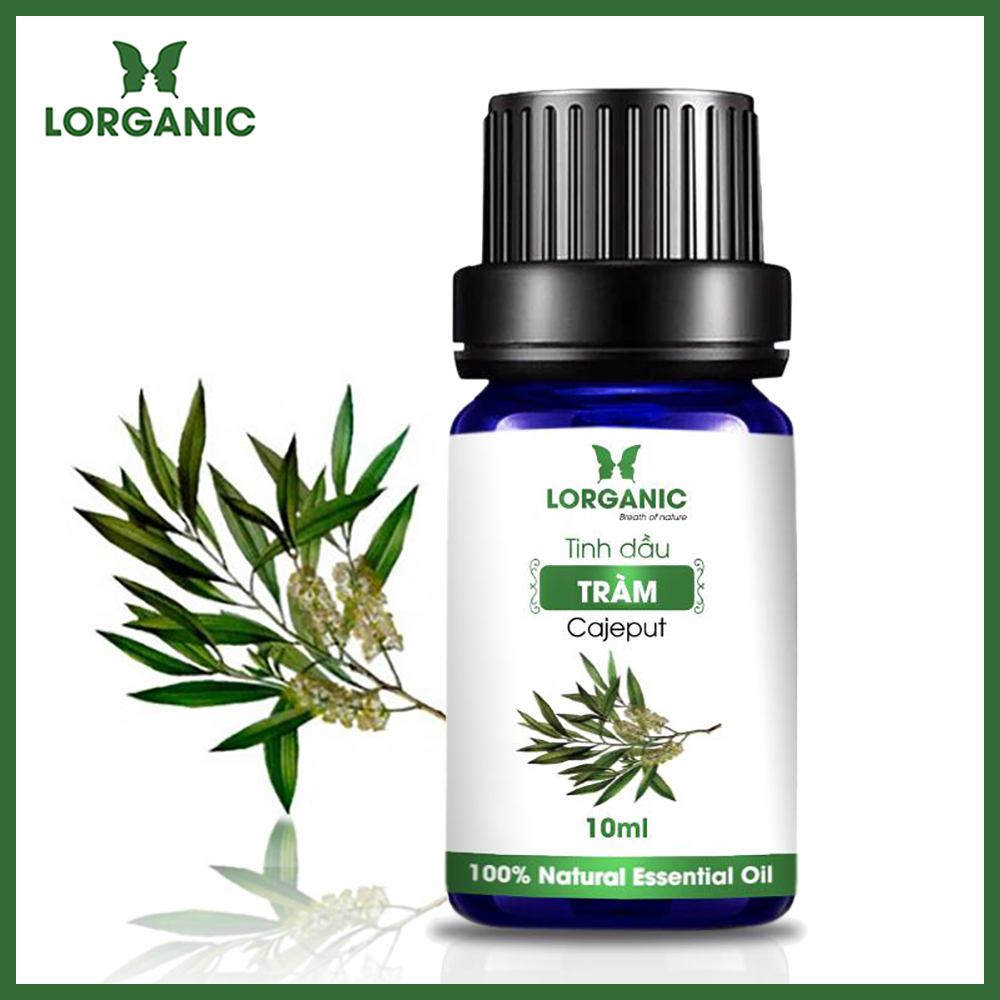 Tinh Dầu Tràm Lorganic Nguyên Chất 99% (10ml)