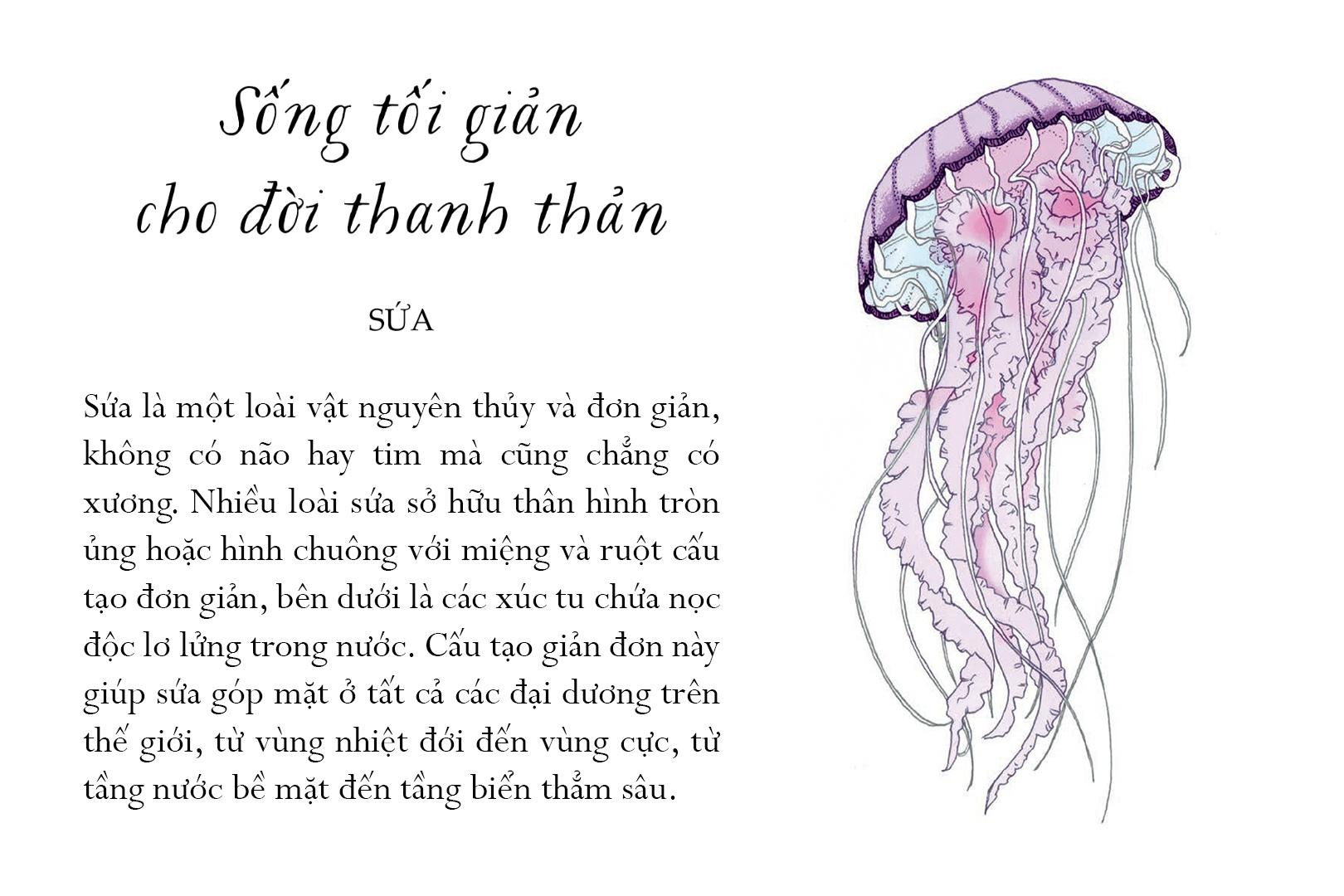 Sách Sống Một Đời Tựa Biển Khơi - Những Bài Học Trí Tuệ Nhẹ Nhàng Sâu Lắng Của Đại Dương