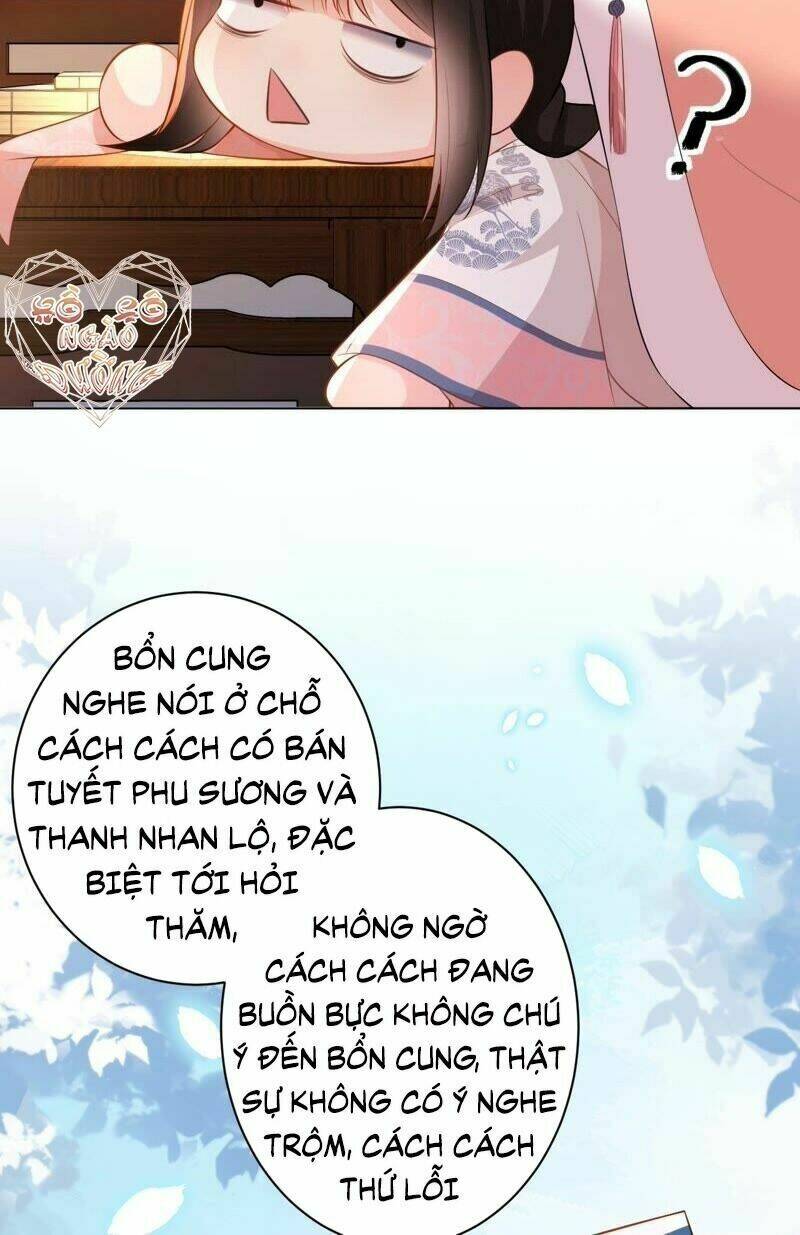 quận chúa vững vàng, thiết lập nhân vật không thể vỡ chapter 48 40