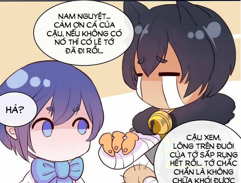 song sinh đổi chỗ ở chapter 11 38