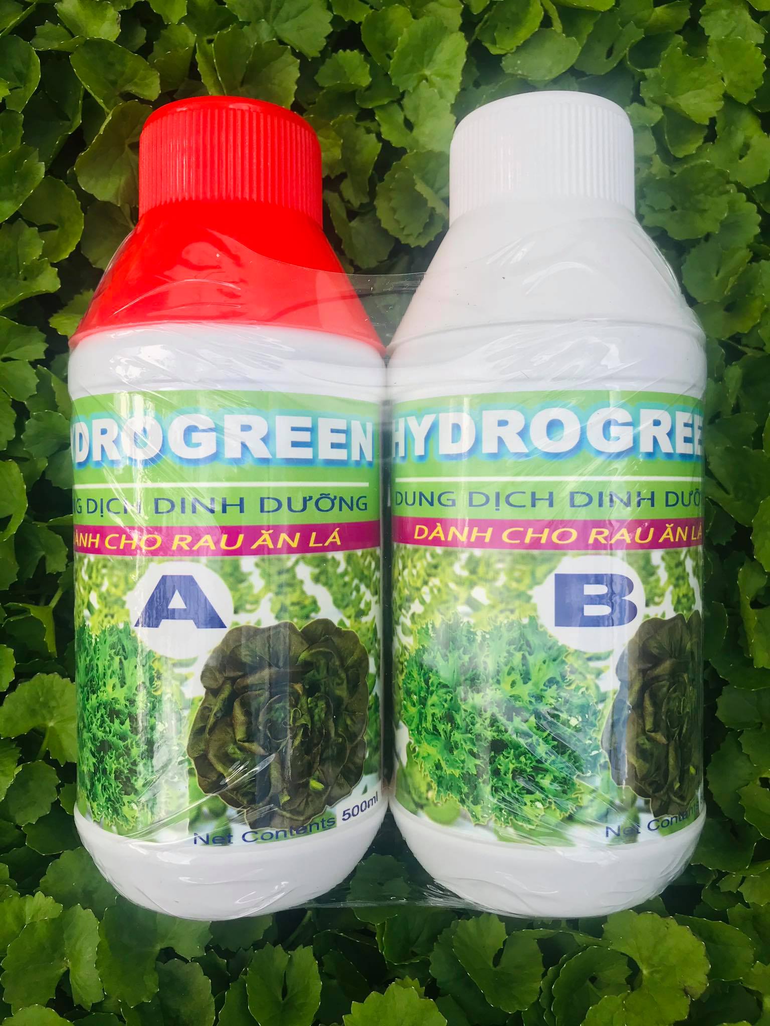 Dung Dịch Thuỷ Canh HYDROGREEN PART A &amp; B 500ml