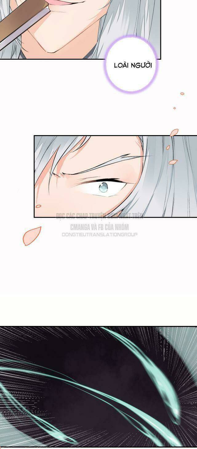 đốt đào hoa chapter 49 8