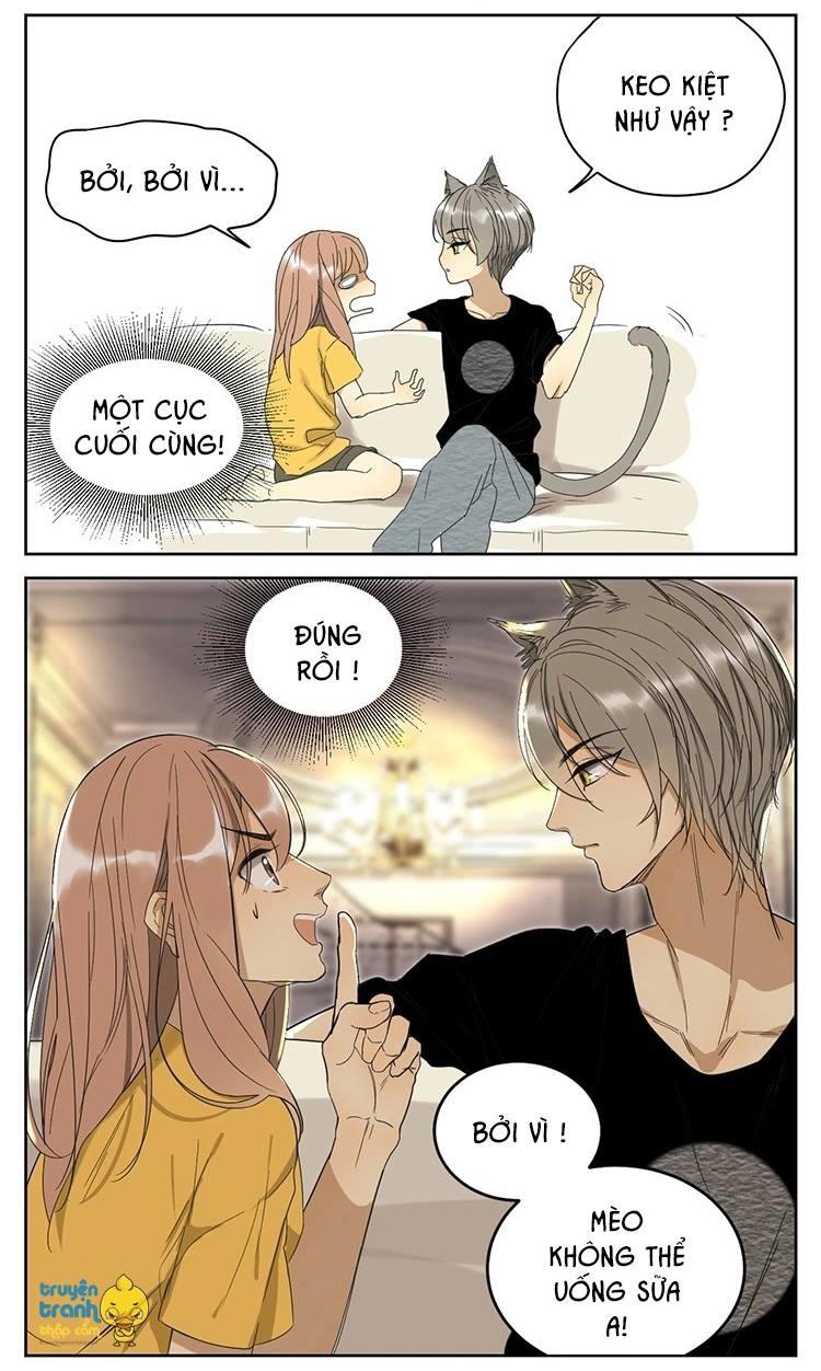 cứu mạng ! loài mèo thống trị thế giới rồi ! chapter 11 7