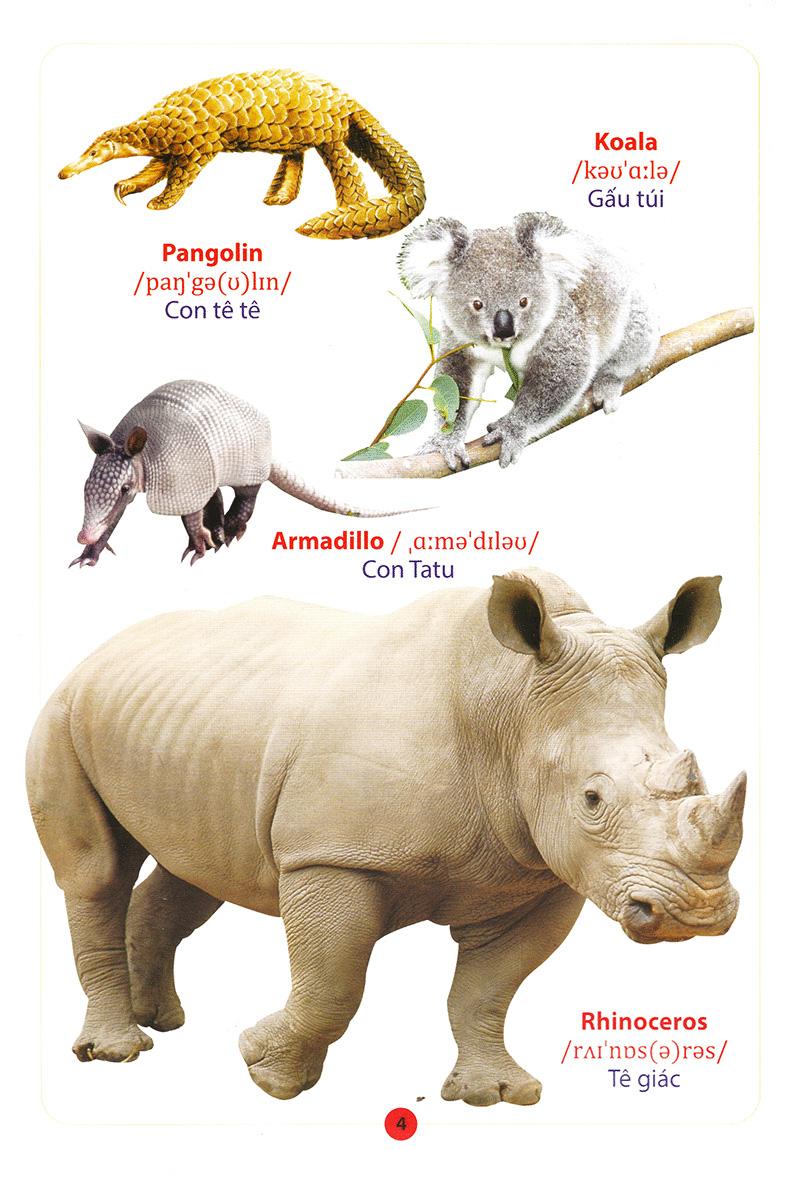 Từ Điển Anh - Việt Bằng Hình: Động Vật (Dành Cho Trẻ Từ 2 - 6 Tuổi)