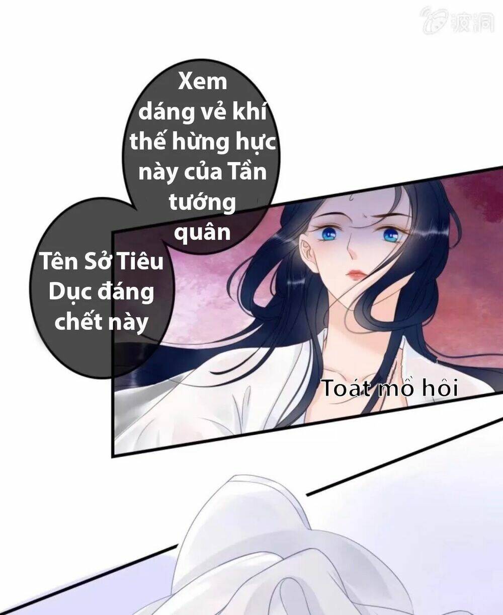 sủng phi của vương chapter 85 23