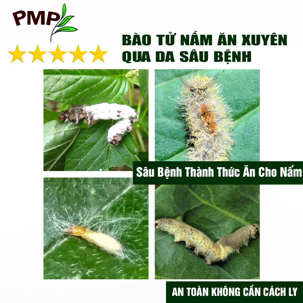 Combo Phân Bón Hữu Cơ Cho Cây Ăn Quả 1 Tricow và 1 Dịch Chuối x4 Kali