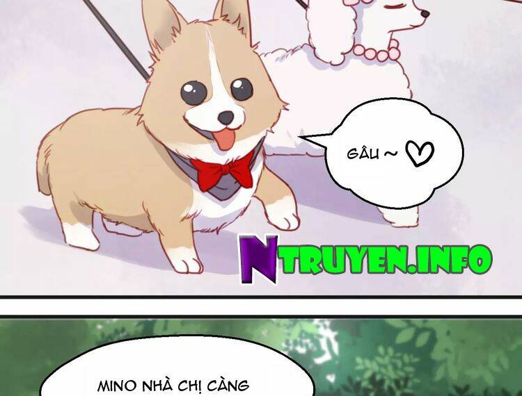 lượm được 1 tiểu hồ ly chapter 78 4