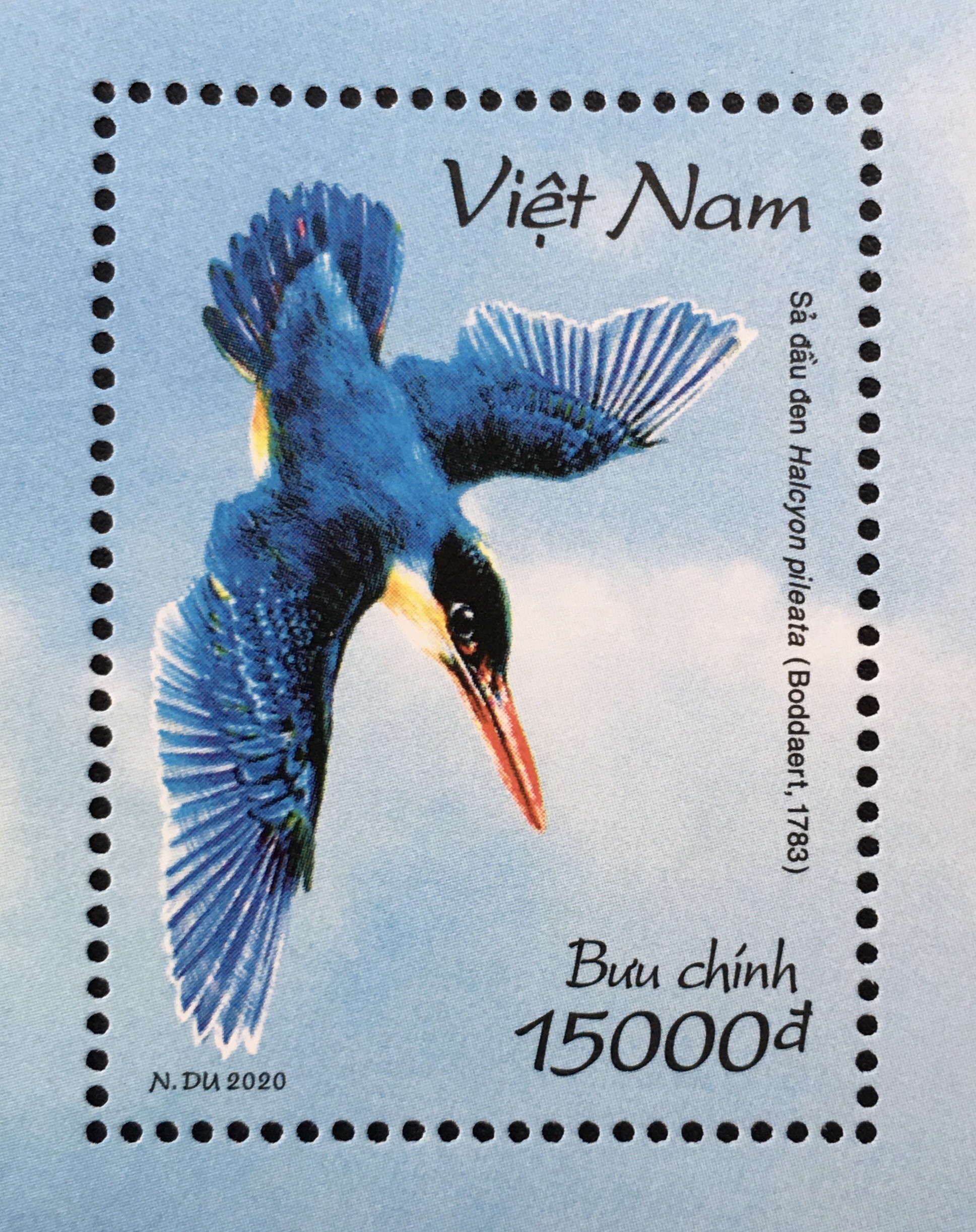 Bộ Tem Sưu Tầm Việt Nam Chim Bói Cá 2020 - Bloc 1 Stamp