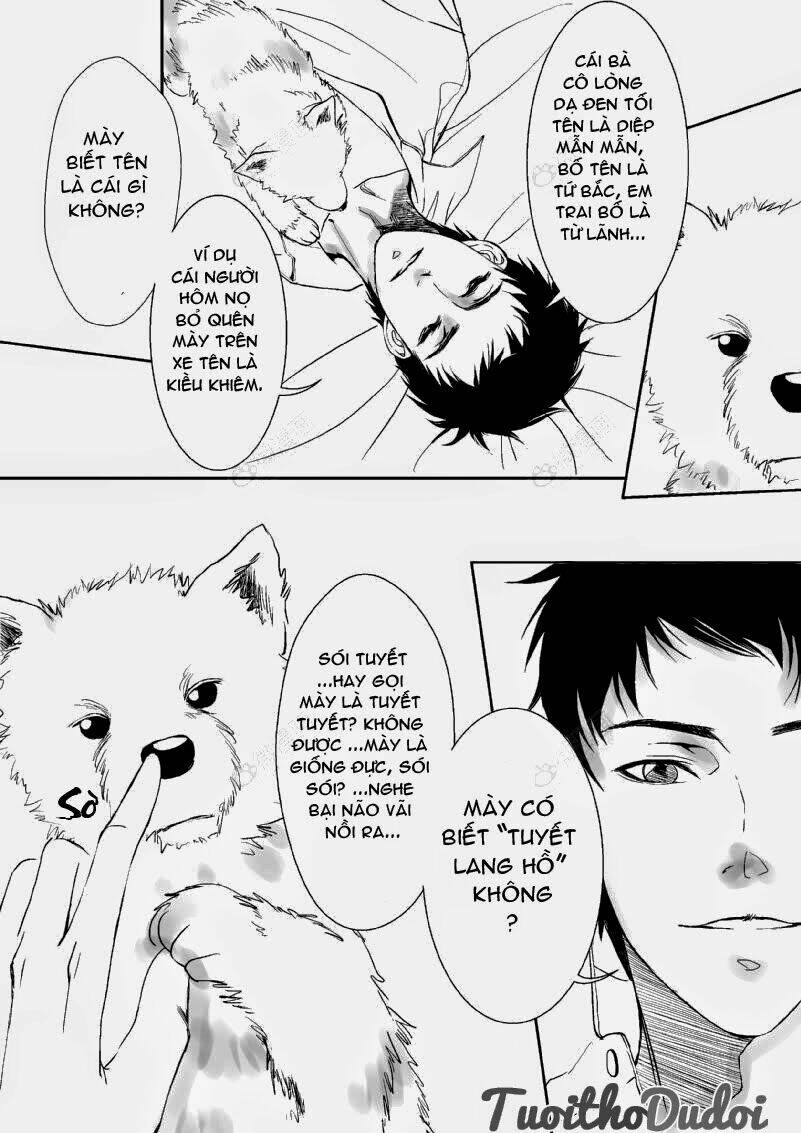 sự mê hoặc của sói chapter 6 8