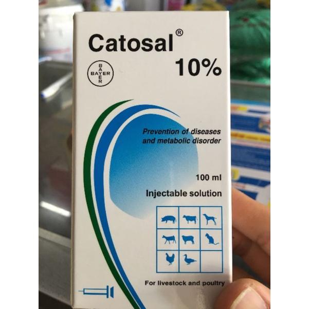 CATOSAL 100ml, năng sức, tăng lực