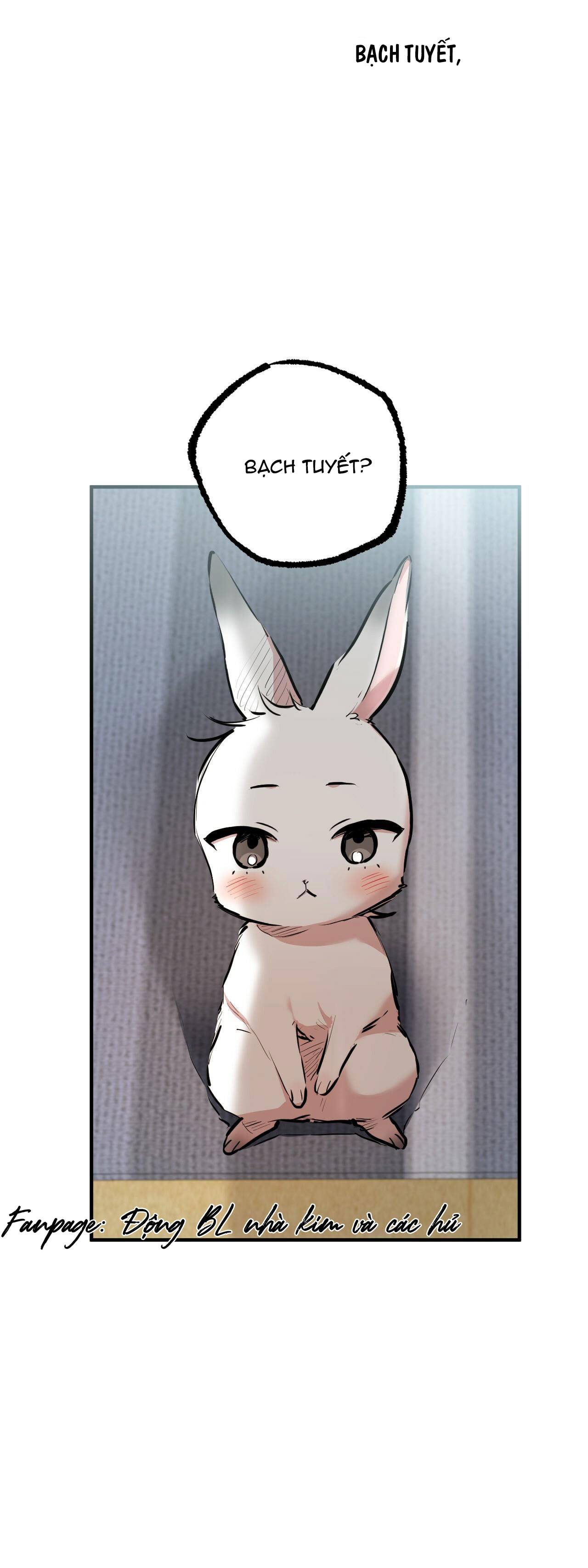 những chú thỏ của hapypy chapter 28 4