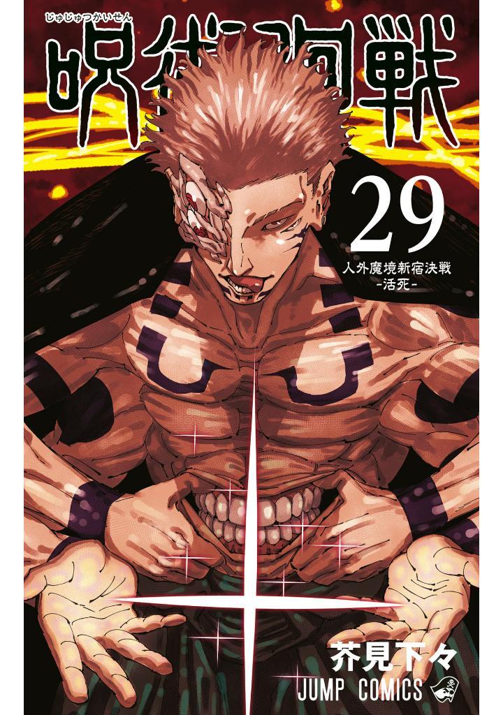 Sách ngoại văn: Jujutsu Kaisen 29 (Japanese Edition)