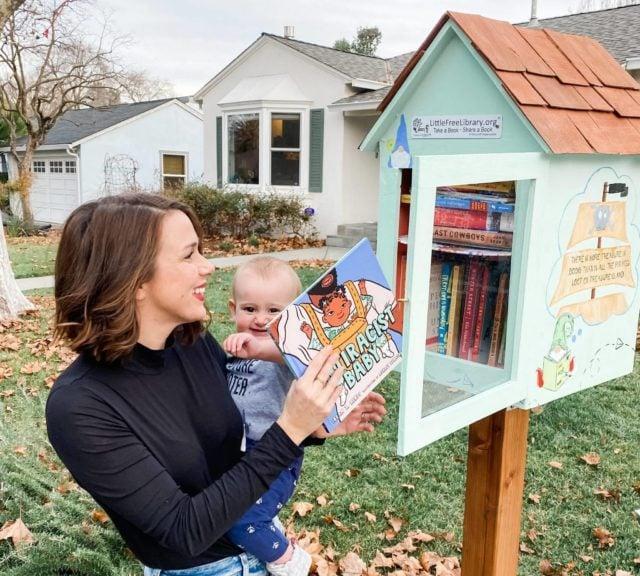 Little Free Libraries &amp; Tiny Sheds : 12 Miniature Structures You Can Build