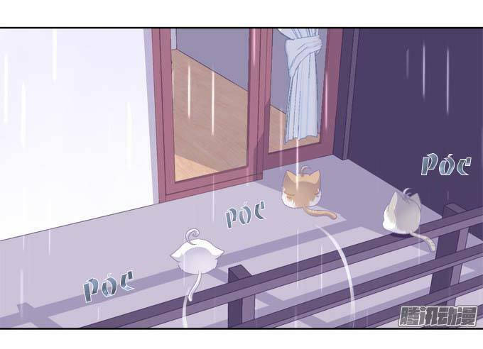 dụ hoặc miêu yêu chapter 20.5 31