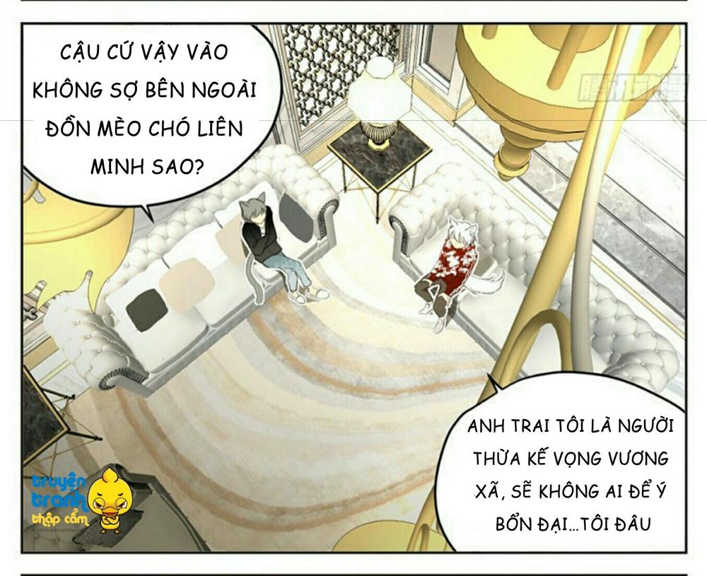 cứu mạng ! loài mèo thống trị thế giới rồi ! chapter 32 3