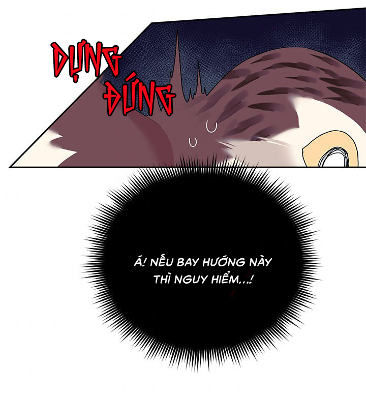 công chúa của loài chim chapter 11 36