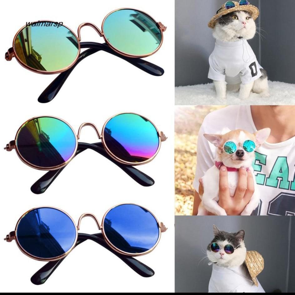 Kính mát cho chó mèo
