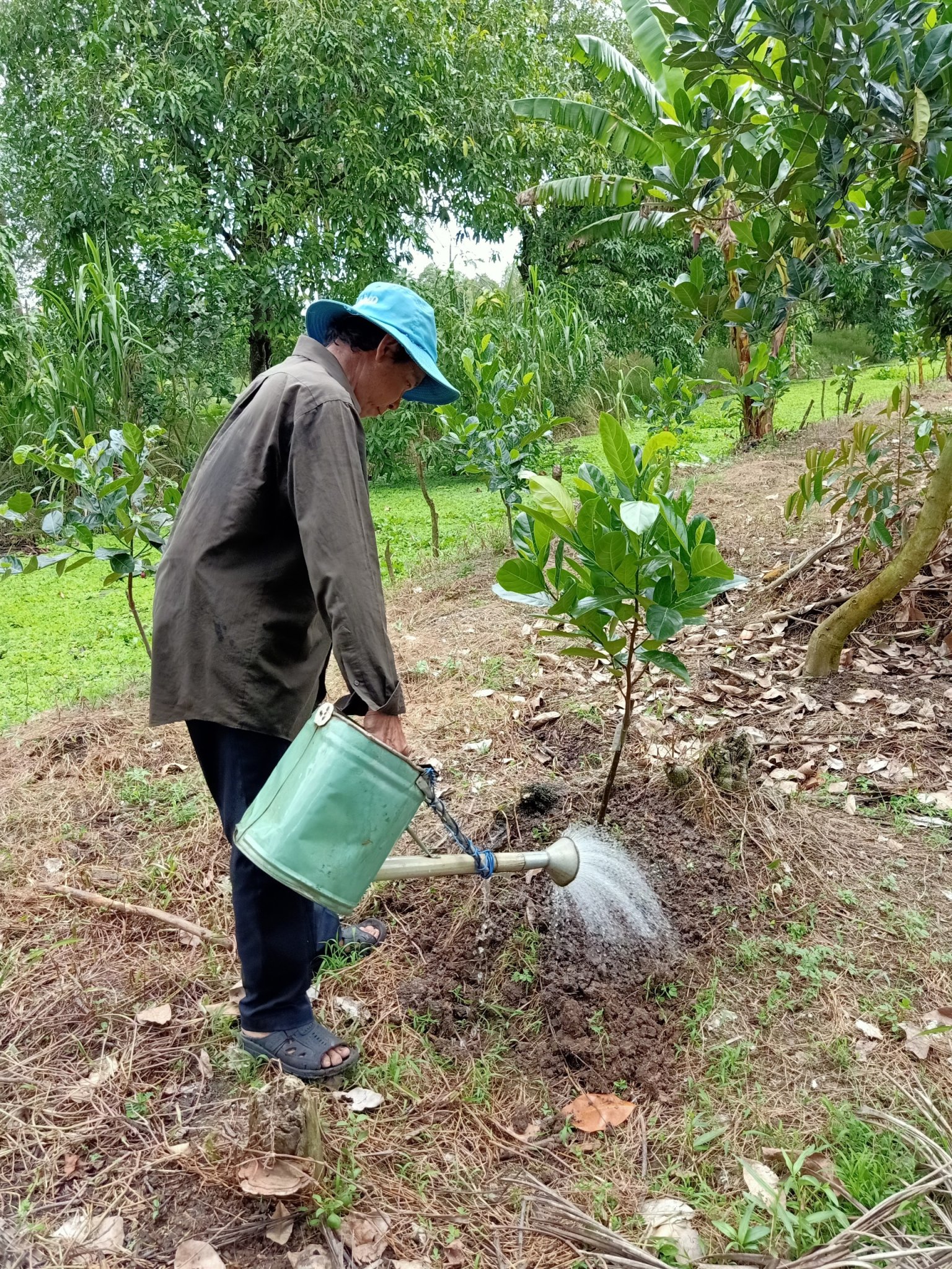 PHÂN BÓN THÔNG MINH TAN CHẬM RYNAN NPK 18-08-22 - Túi 500g – Chuyên Dùng Cho Rau, Củ, Quả, Cây ăn trái – Cung cấp dưỡng chất lên tới 2 – 3 tháng