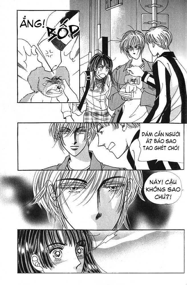 cutie boy chapter 12 24