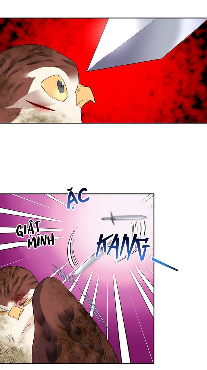 công chúa của loài chim chapter 12 8
