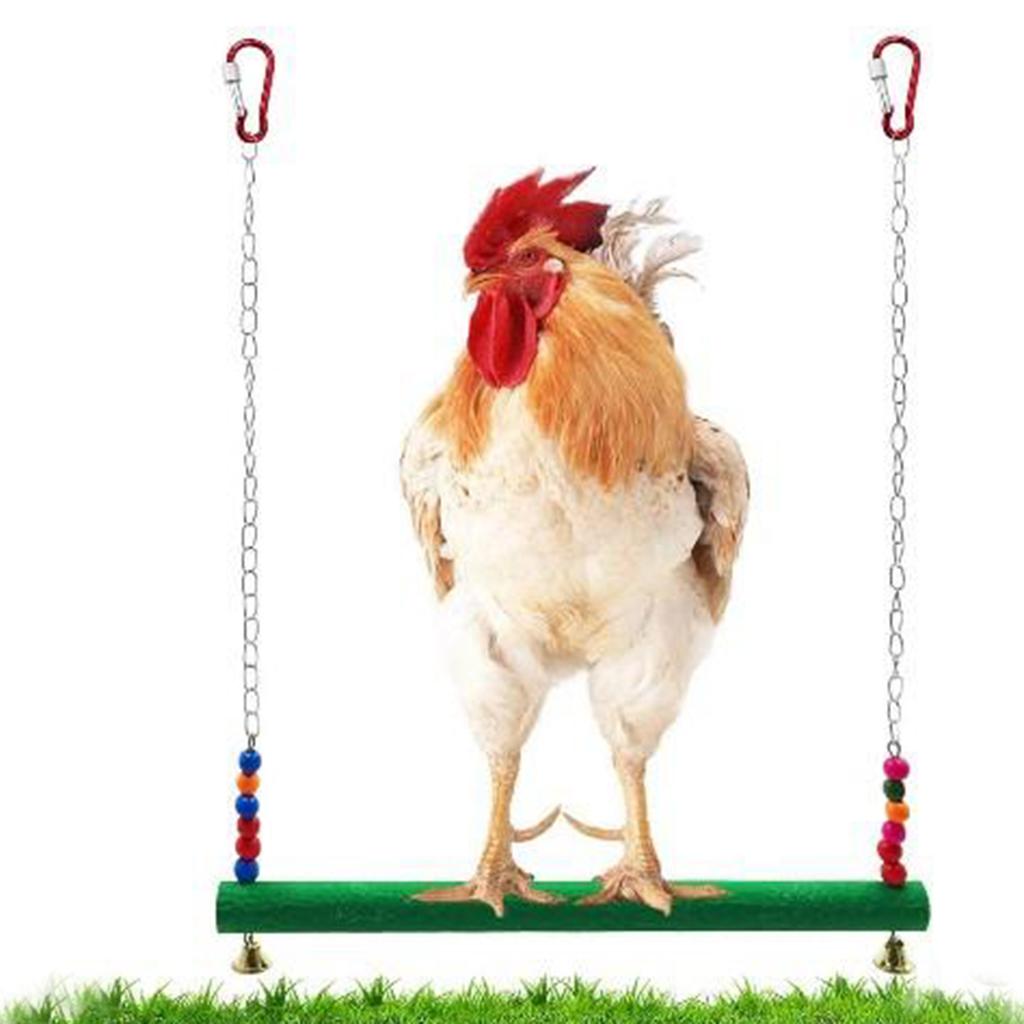 Chicken Swing Pet Swing Chewing Toys for Hens Large Bird Parrot Macaw Training