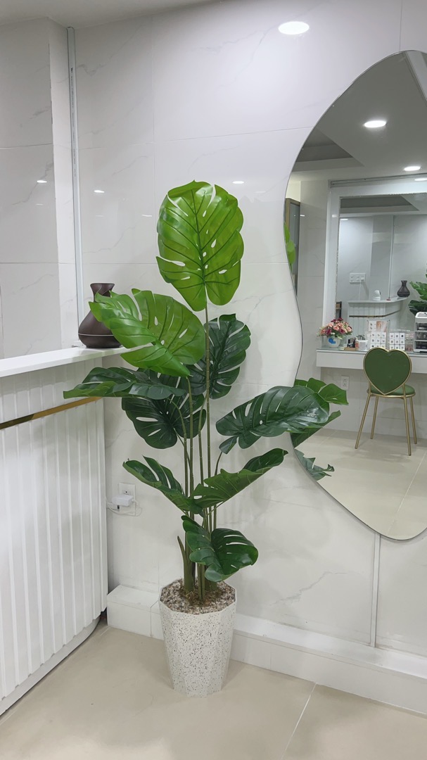 Trầu bà lá xẻ nam mỹ monstera - Cây giả trang trí VNG