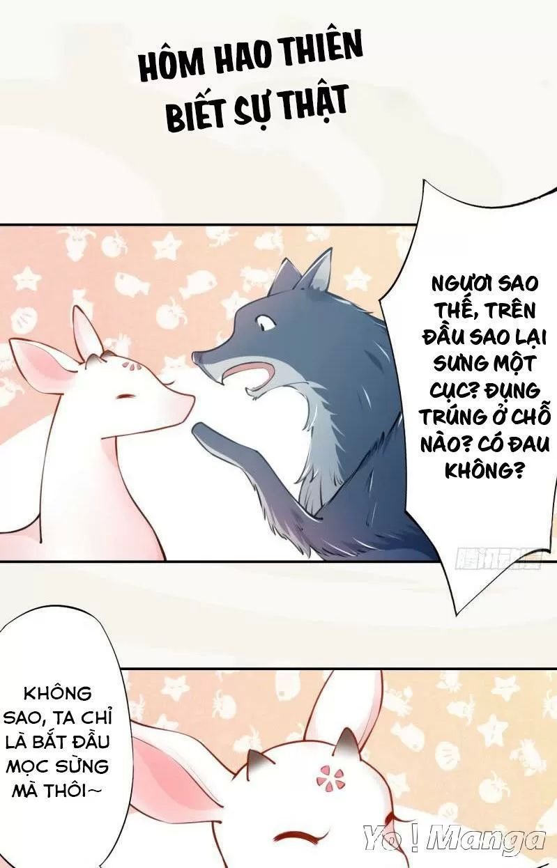 tuyệt thế luyện đan sư chapter 51 28