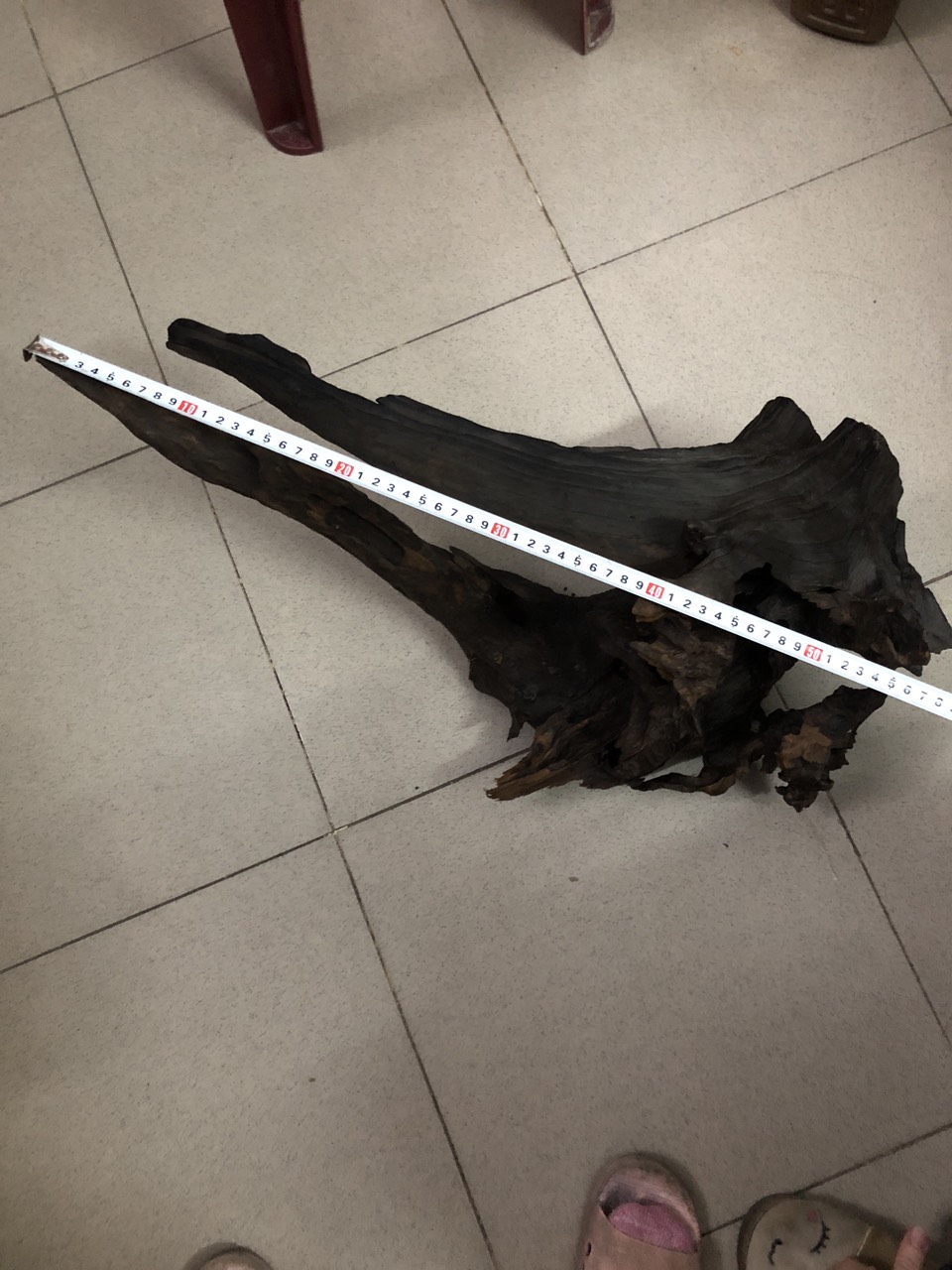 Gỗ lũa lội ghép lan hàng rừng dài 55 cao 30 rộng 30 cm