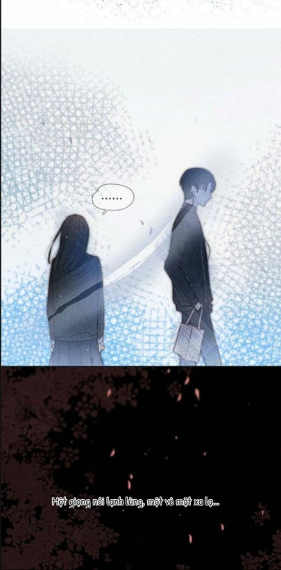 nỗi buồn của hoa cẩm tú cầu chapter 17 6