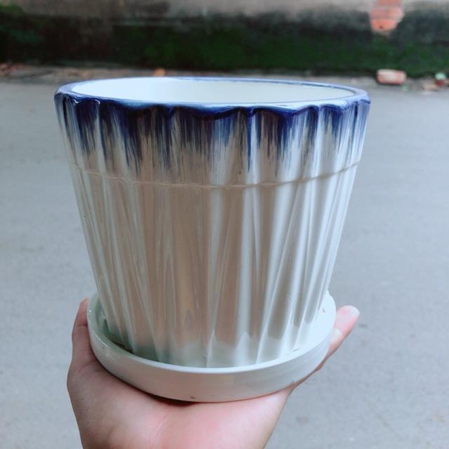 Chậu Trồng Cây