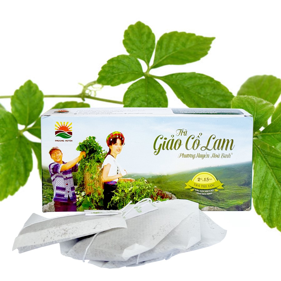 Hộp Trà giảo cổ lam túi lọc Phương Huyền 30g