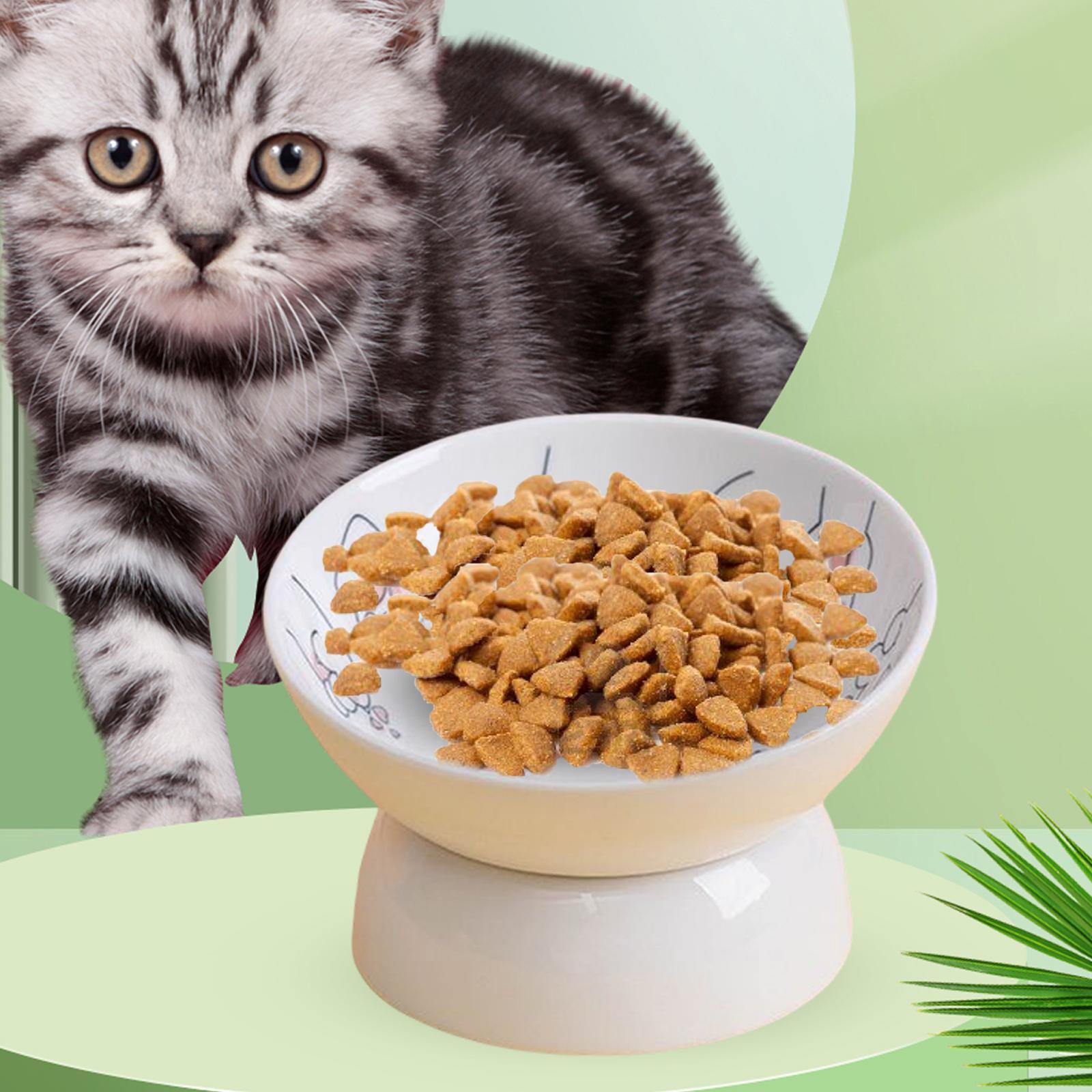 Raised Pet Bowls for Cats and Small Dogs, Tilted Single Elevated Cat Food and Water Bowls Stand Feeder