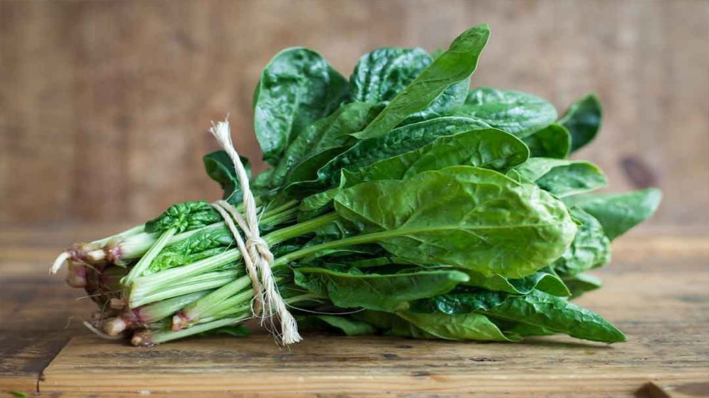 03 Gói Hạt Giống Rau Chân Vịt - Nảy Mầm Cực Chuẩn